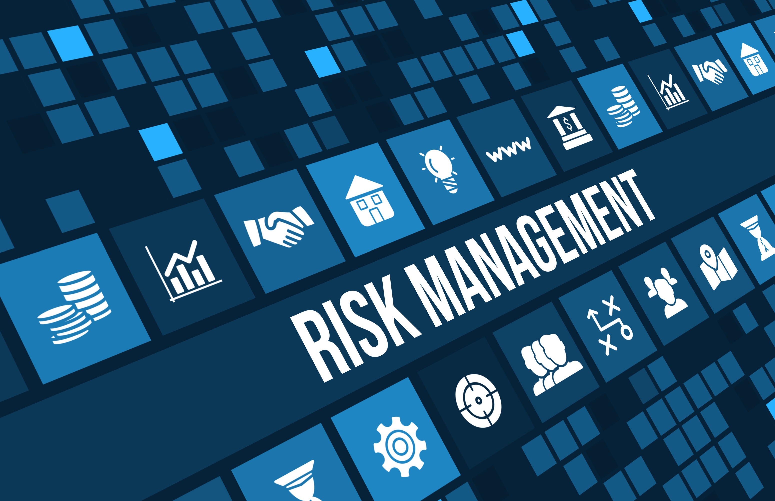 Risk Management for New Year Planning