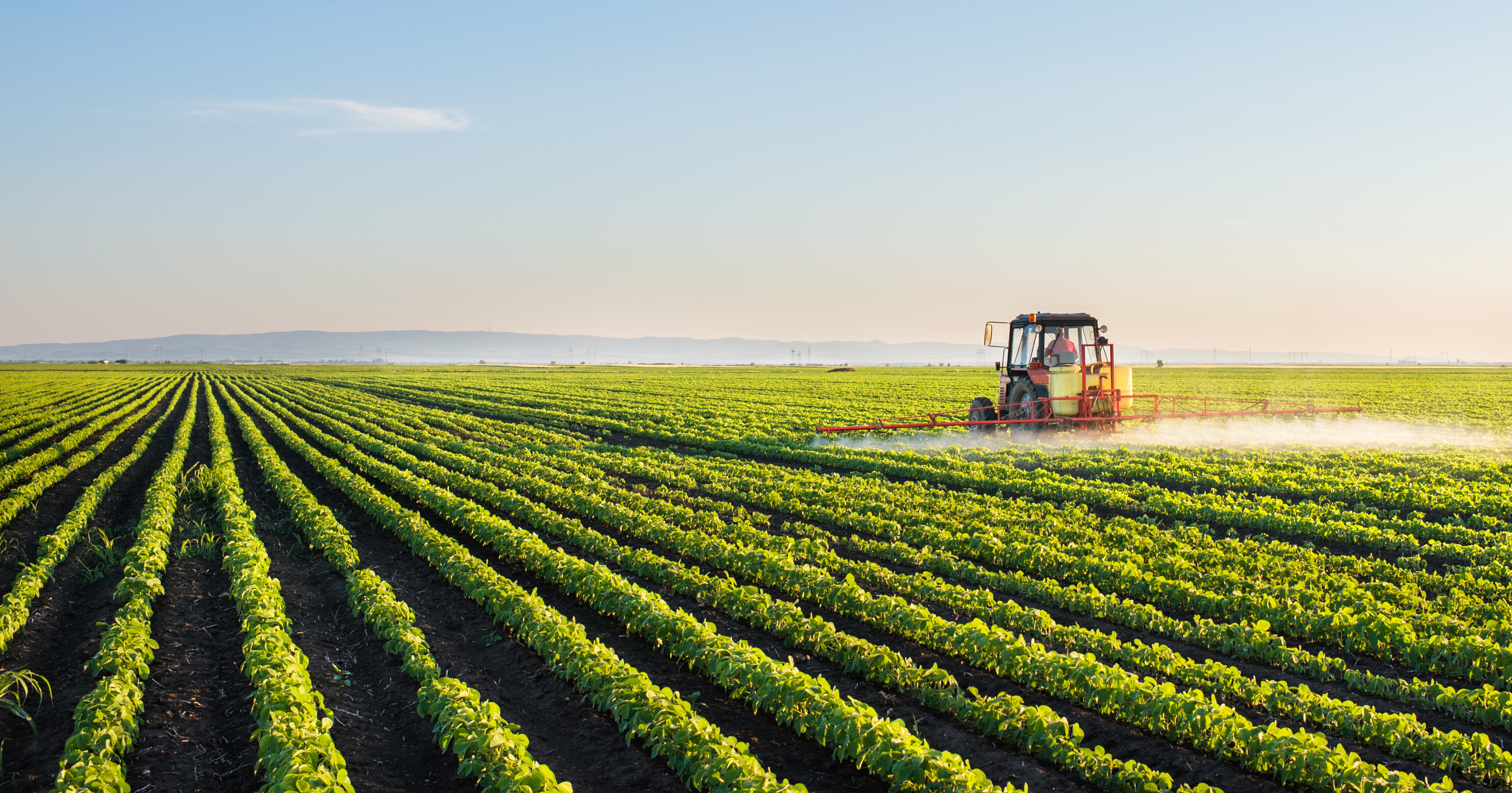 Farmer working in field