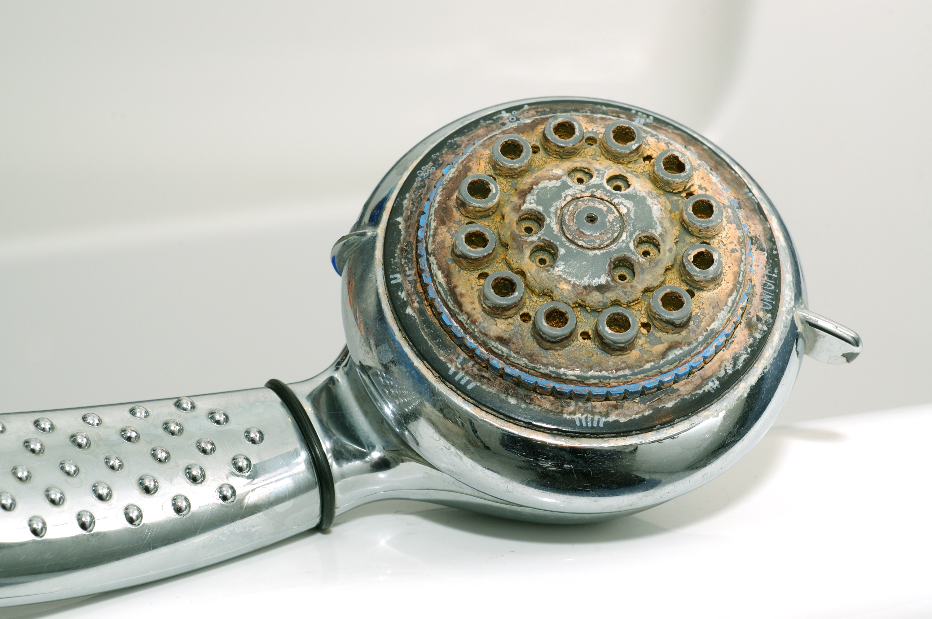 dirty shower head